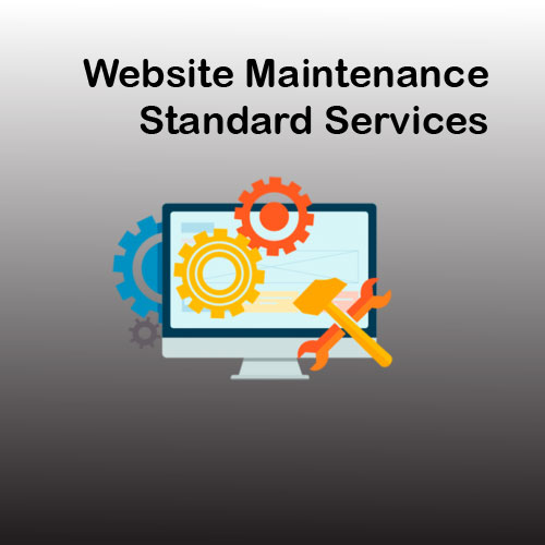 Website Maintenance Standard Services