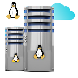 Dedicated Virtual Linux Servers