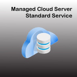 Managed Cloud Server Standard Service